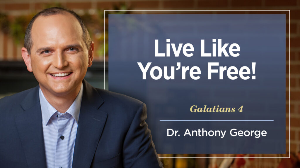 Live Like You’re Free!